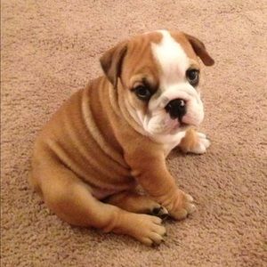 Meet your Posher, Jacob